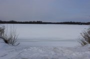 IMG_4915.jpg