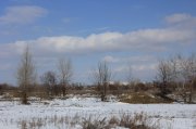 IMG_4869.jpg