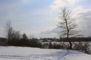 IMG_4875.jpg