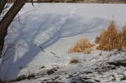 IMG_4918.jpg