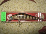 Usami Datsu 80.jpg
