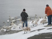 1-IMG_0034.JPG