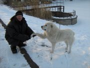 IMG_0810.JPG