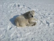 IMG_0804.JPG