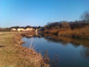 IMAG0070.jpg