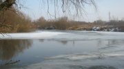 IMG_1075.jpg