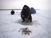 DSC01622.jpg