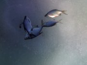 130320121656.jpg