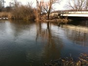 IMG_0116.jpg
