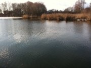IMG_0117.jpg