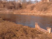 IMG_20120314_161519.jpg