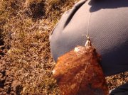 IMG_20120314_162700.jpg