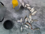 150320121658.jpg