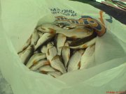 DSC00364.jpg