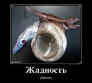70637355_zhadnost.jpg