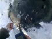 Замер уровня кислорода в воде на Суле..jpeg