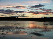 nature_20100802_1077693809.jpg