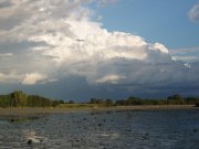nature_20100802_1362880399.jpg