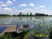 nature_20100802_1482034403.jpg