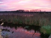 nature_20100802_1758454583.jpg