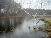 Изображение 042.jpg