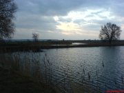 DSC00584.JPG