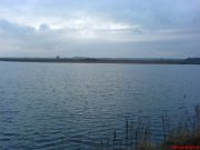 DSC00585.JPG