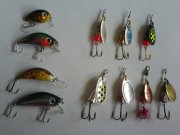 DSC02478.JPG