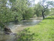 Photo-0322.jpg