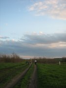 IMG_5201.jpg