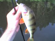 07-07-07_0723.jpg