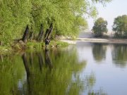 P1013398_измен.размер.JPG