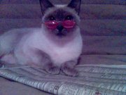 Кася.jpg