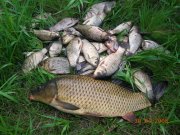 DSCN2318.JPG