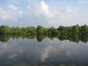 IMG_0161.jpg