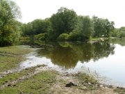 IMG_0162.jpg