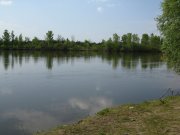 IMG_0163.jpg