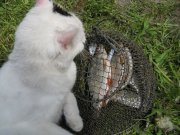 IMG_0167.jpg