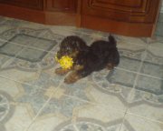 DSC00302_cr.jpg