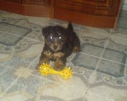 DSC00304_cr.jpg