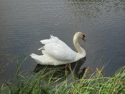 IMG_0091.jpg