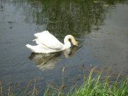 IMG_0092.jpg