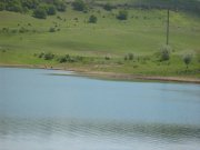IMG_0575.jpg
