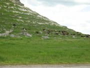 IMG_0585.jpg