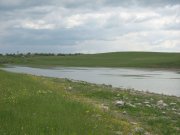 IMG_0583.jpg
