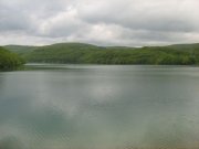 IMG_0603.jpg