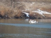 DSC08712.jpg