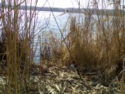 180320121667.jpg