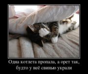 1331884349_demotivatory_14.jpg