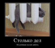 1332144296_demotivatory_20.jpg